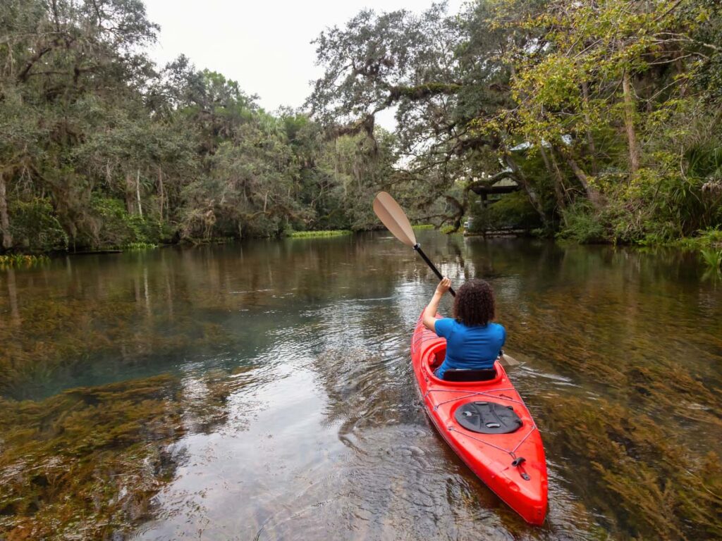 Chassahowitzka River is one of the places to go kayaking with manatees in Florida.