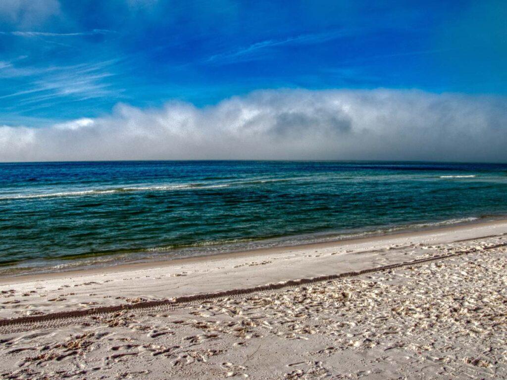 Grayton Beach State Park  is one of the best Destin beaches.