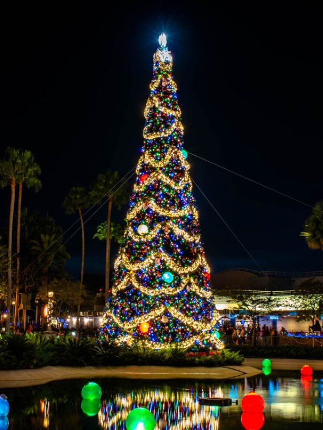 Best Christmas Towns In Florida