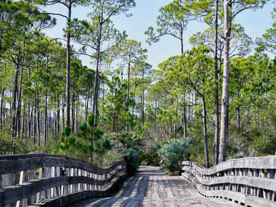 Exploring Jolee Island Nature Park is one of the fun things to do in Destin Florida for free.