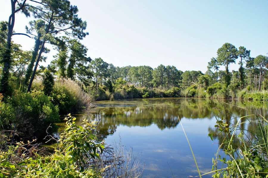Exploring Mattie Kelly Park and Nature Walk is one of the free activities in destin fl.